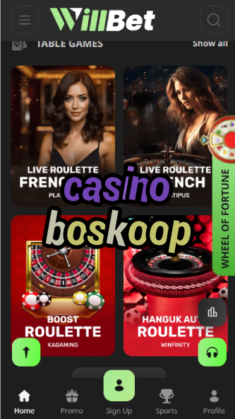 Casino Boskoop - Top Gambling Venues in Boskoop, NL-casinoorder.vip