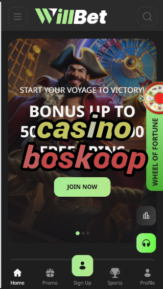 Casino Boskoop - Top Gambling Venues in Boskoop, NL-casinoorder.vip